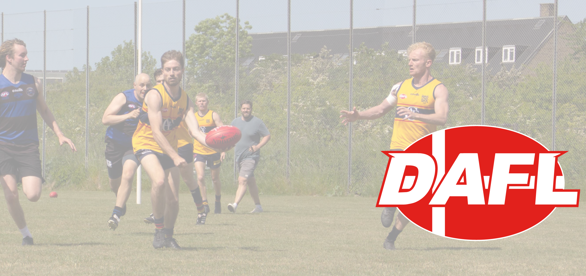 DAFL Preliminary Final